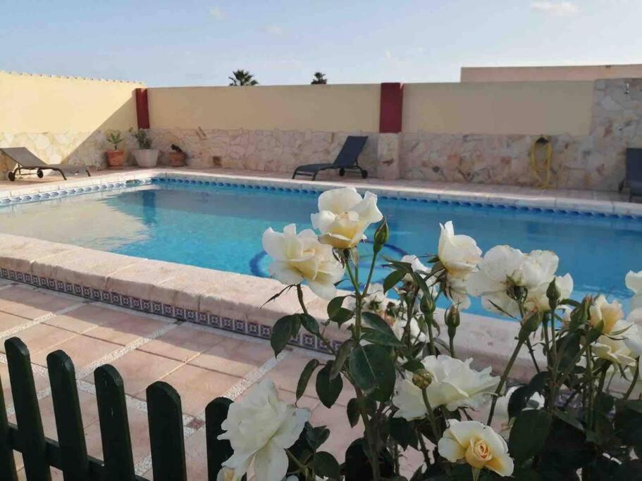 Ferienhaus Casa Vacacional Con Piscina Privada