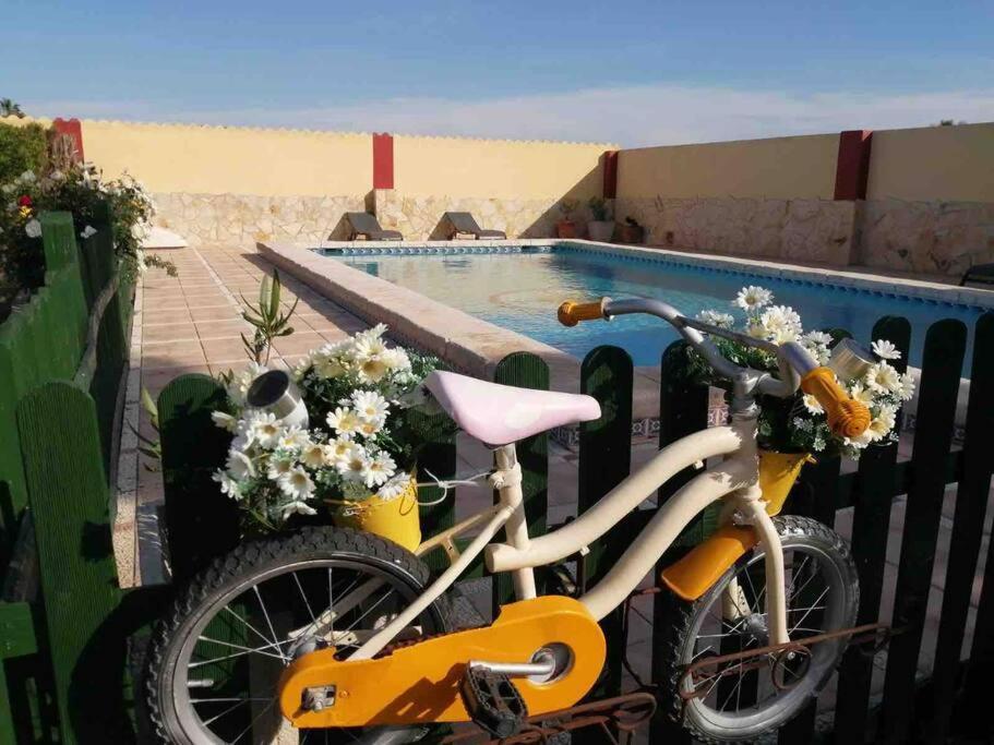Casa Vacacional Con Piscina Privada